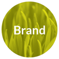 Creative Company branding process - brand