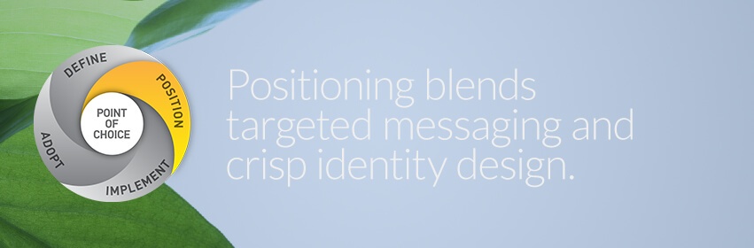 positioning strategy, the visual and verbal brand, blends targeted messaging and crisp design.