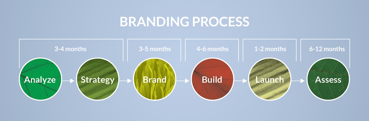 Creative Company branding process timeline