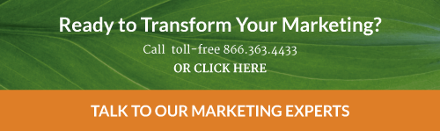 Ready to transform your marketing? Contact us