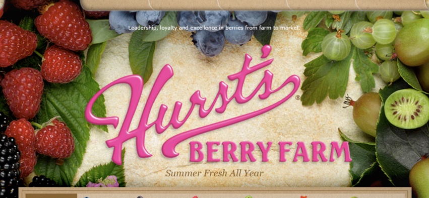 A new marketing website to boost berry sales for Hurst's.