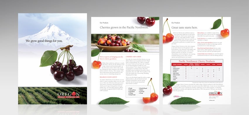 A new marketing strategy and brand refresh meant new marketing materials for Oregon Cherries.